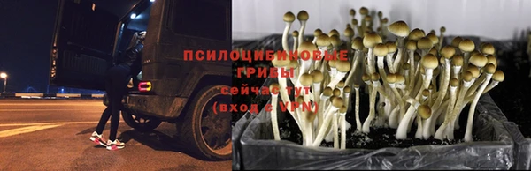 гидра Нефтегорск