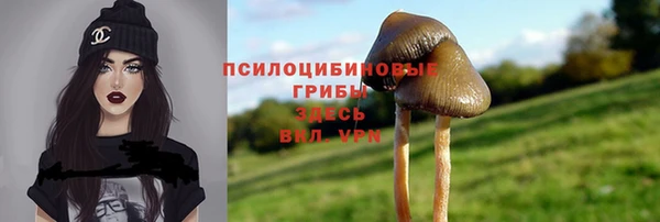 гидра Нефтегорск