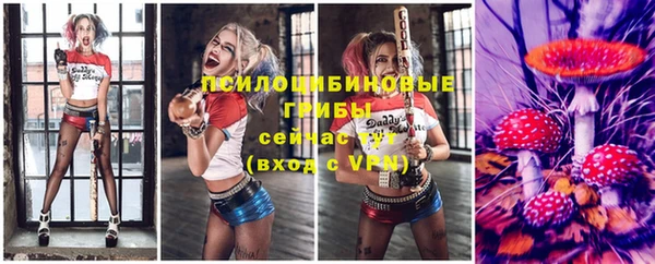 гидра Нефтегорск