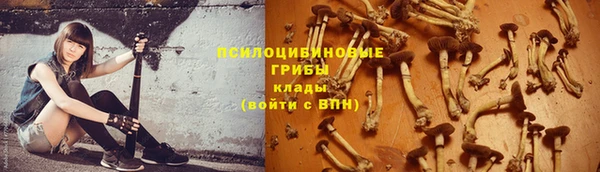 прущий лед Нея